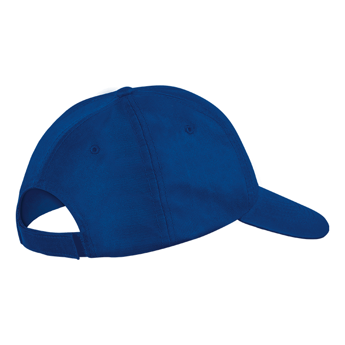 6 Panel Boost Cap
